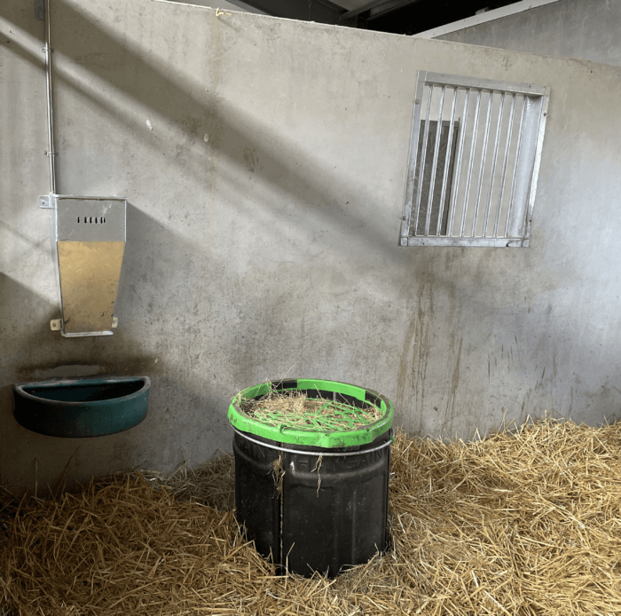 de ifeed in de stal aan de muur bevestigd. Op de voorgrond stro op de grond